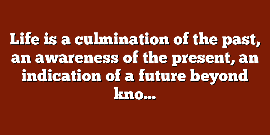 Life is a culmination of the past, an awareness of the present, an indication of a future beyond kno...