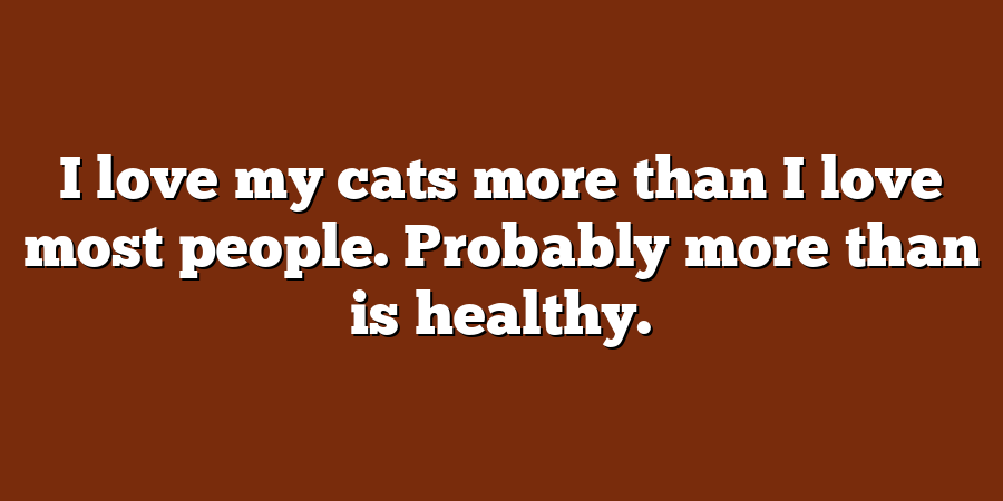 I love my cats more than I love most people. Probably more than is healthy.