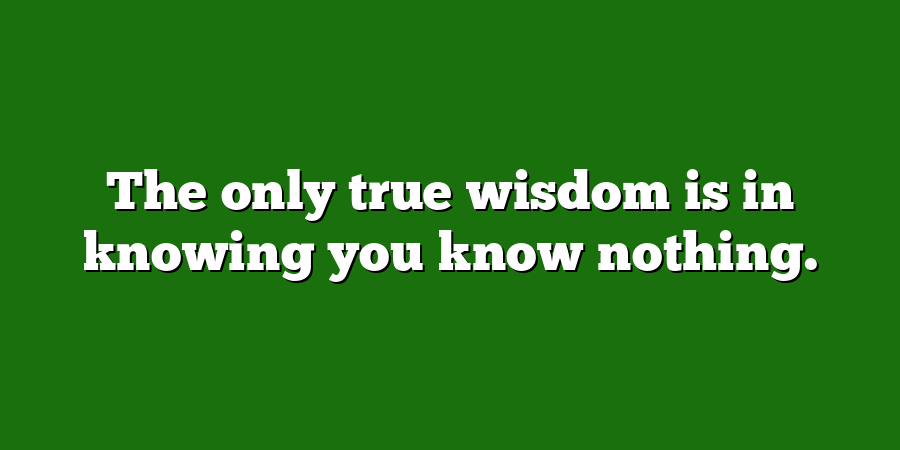 The only true wisdom is in knowing you know nothing.