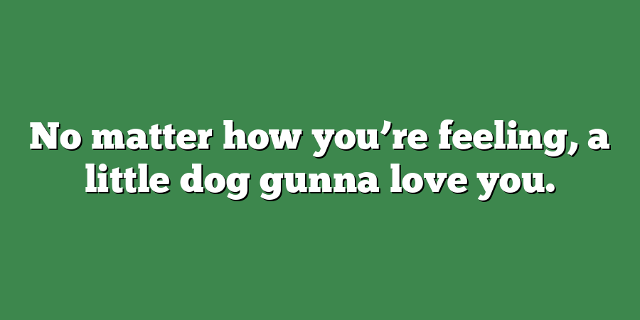 No matter how you’re feeling, a little dog gunna love you.