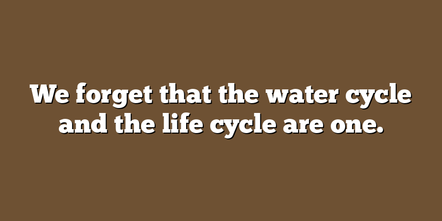 We forget that the water cycle and the life cycle are one.