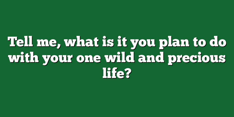 Tell me, what is it you plan to do with your one wild and precious life?