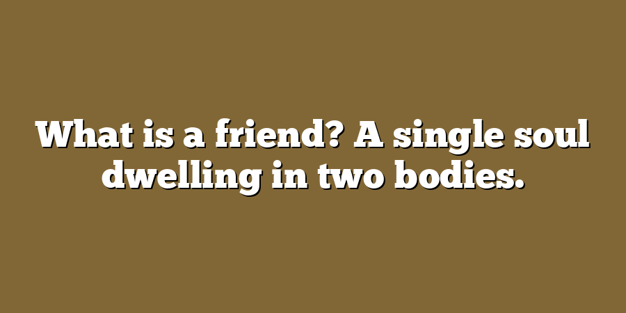 What is a friend? A single soul dwelling in two bodies.