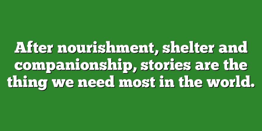 After nourishment, shelter and companionship, stories are the thing we need most in the world.