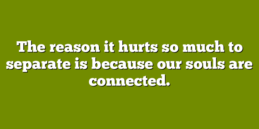 The reason it hurts so much to separate is because our souls are connected.