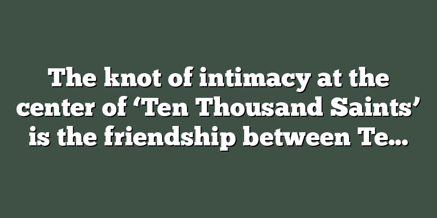 The knot of intimacy at the center of ‘Ten Thousand Saints’ is the friendship between Te...