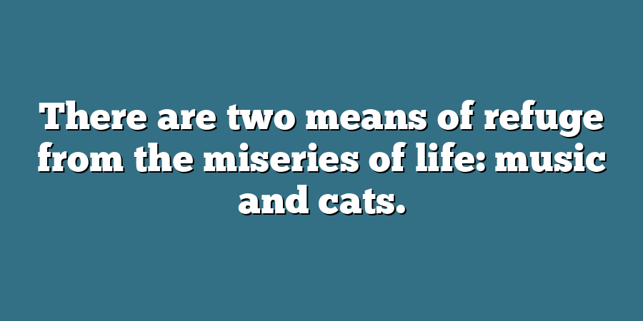 There are two means of refuge from the miseries of life: music and cats.