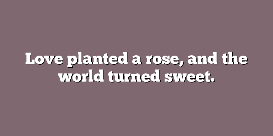 Love planted a rose, and the world turned sweet.