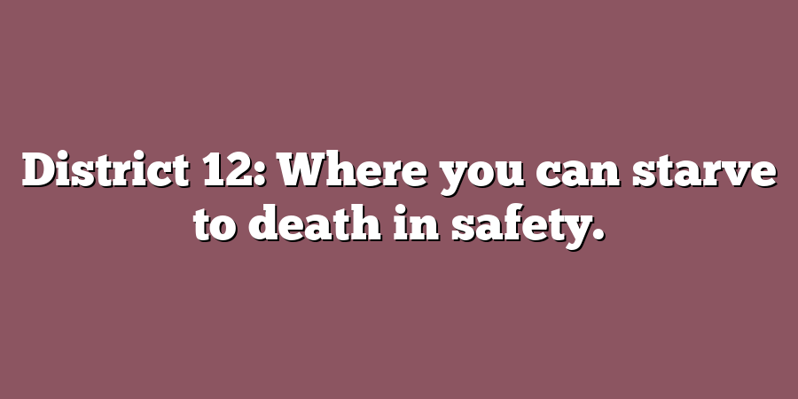 District 12: Where you can starve to death in safety.