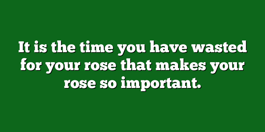 It is the time you have wasted for your rose that makes your rose so important.