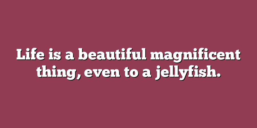 Life is a beautiful magnificent thing, even to a jellyfish.